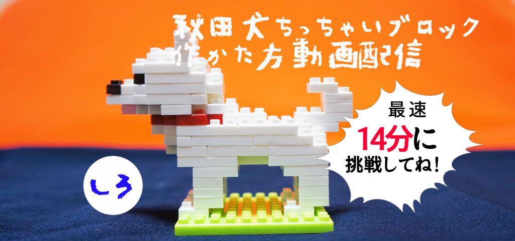 秋田犬ブロックしろ