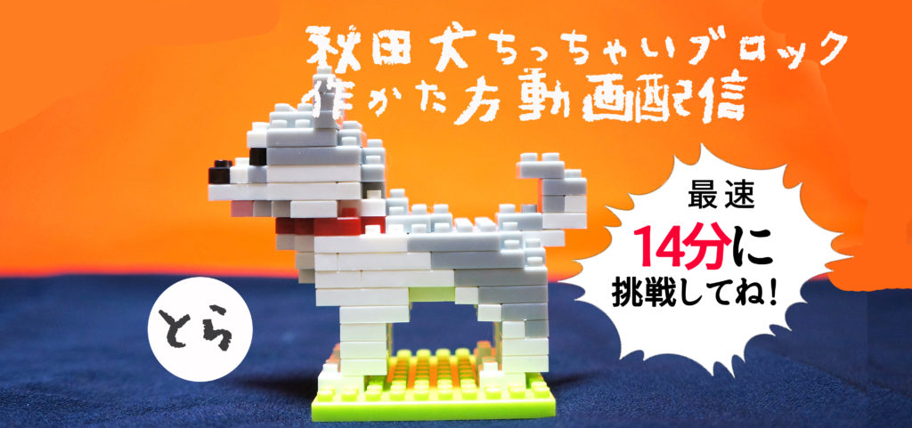 秋田犬ブロックとら